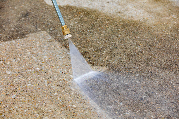 Best Patio and Deck Pressure Washing  in Searingtown, NY